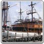 sea safari cruise, tms tour travel