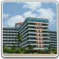 grand bali beach hotel, tms tour travel